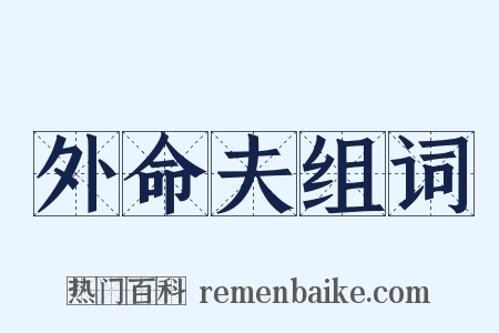 外命夫组词是什么意思的图片